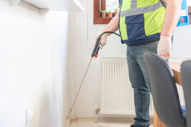 Reliable Mount Hope, WV Pest Control Solutions