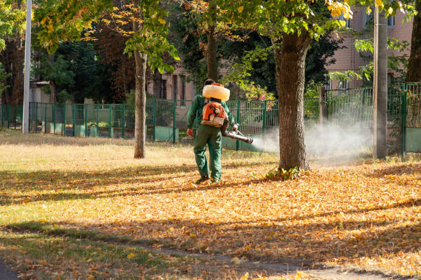 Best Bird Control  in Mount Hope, WV