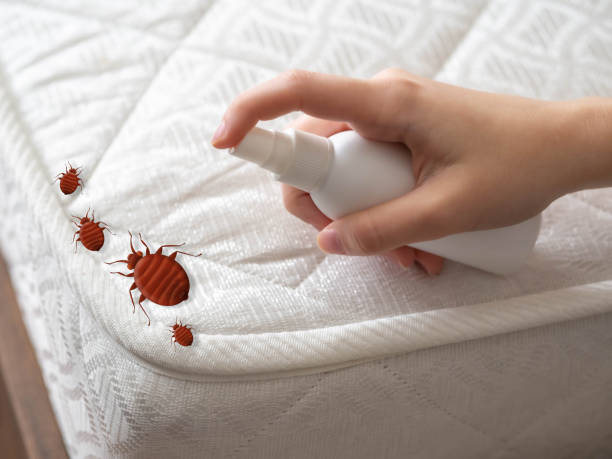 Best Commercial Pest Control Services  in Mount Hope, WV